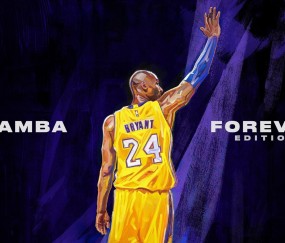 关于开云平台的平台技术架构深度分析